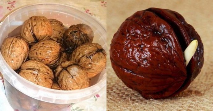 Пророщенный грецкий орех: рецепт молодости Пророщенный грецкий орех: рецепт молодости
