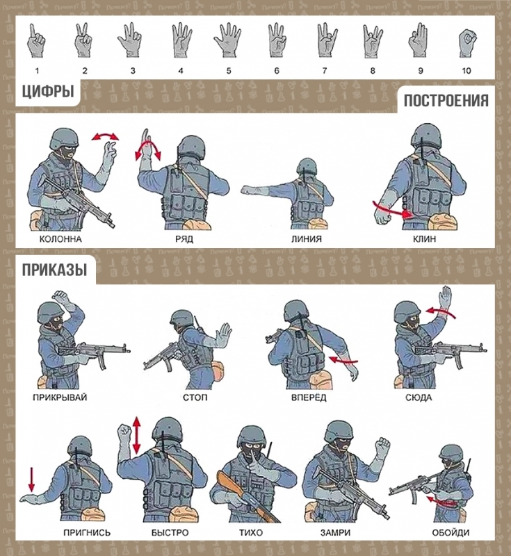 ​Тактические жесты спецназа