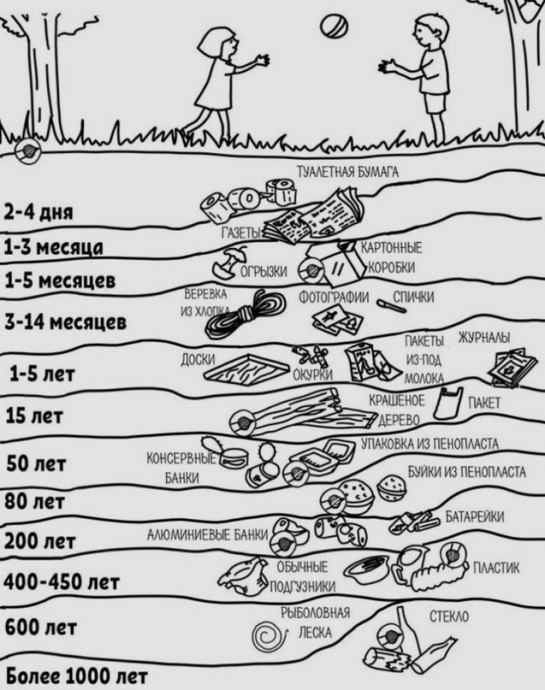 Как долго разлагается разный мусор