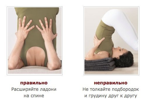 Поза плуга: как сделать всё правильно Поза плуга: как сделать всё правильно