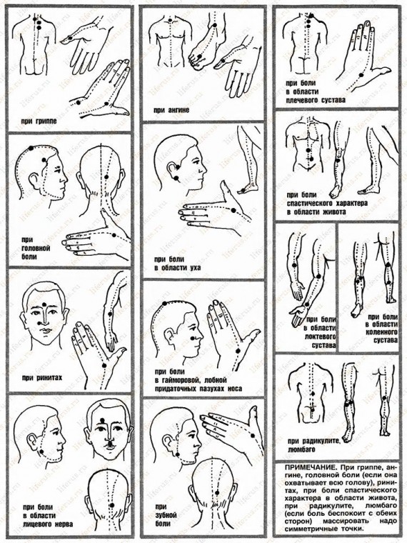 ​Активные точки для массажа на разные случаи жизни