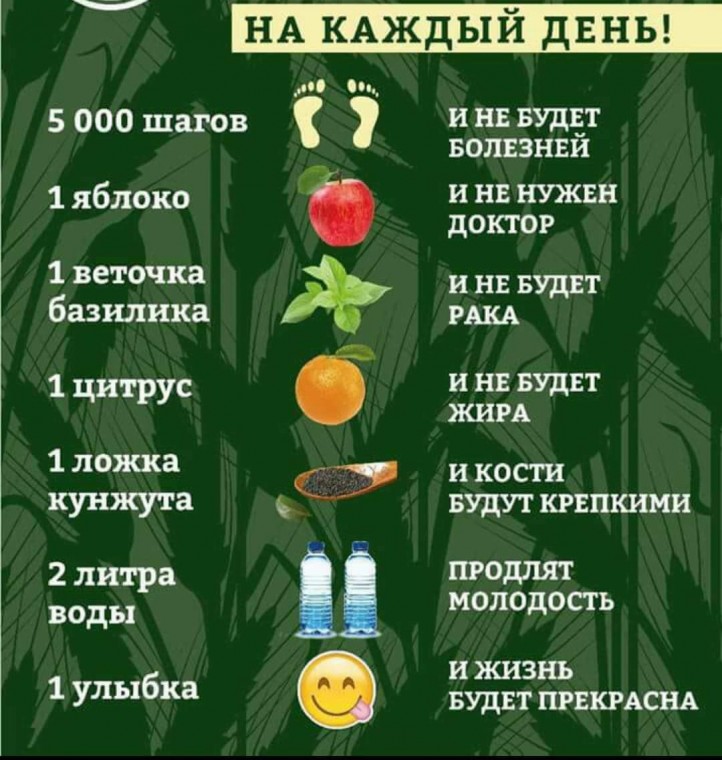 Важные заметки на каждый день