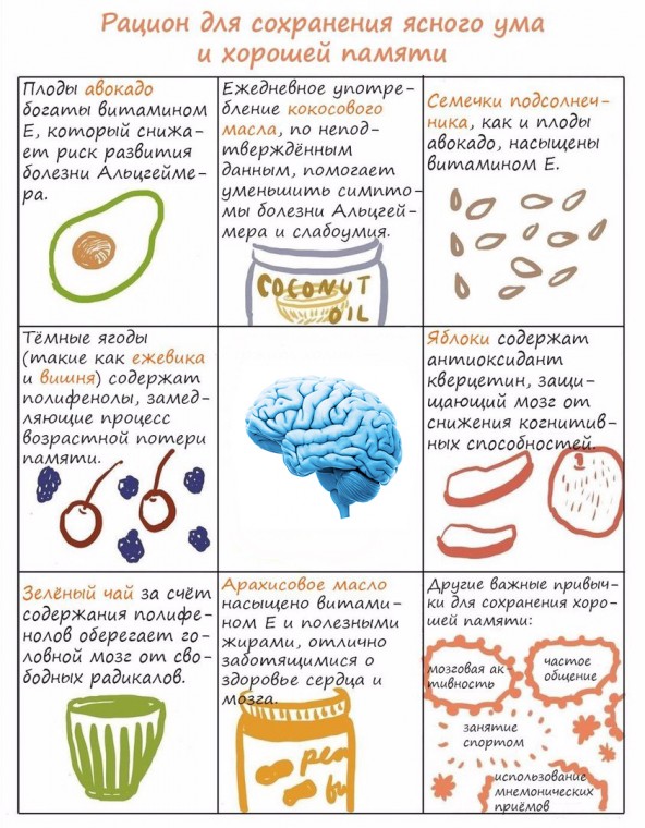 ​Простой и доступный рацион для сохранения ясного ума и хорошей памяти