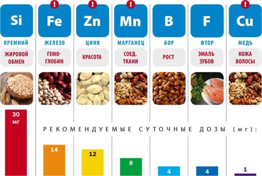 Минералы жизненно необходимы для нашего организма Минералы жизненно необходимы для нашего организма