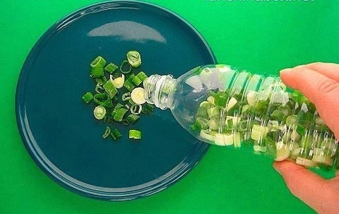 ​Все секреты длительного хранения зелени