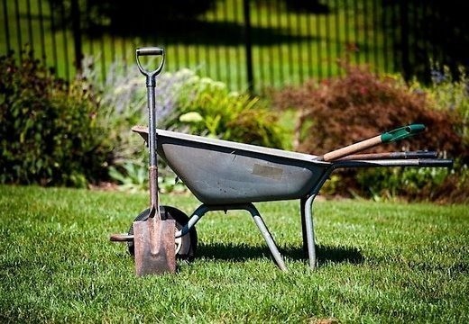 Советы учителя Советы учителя