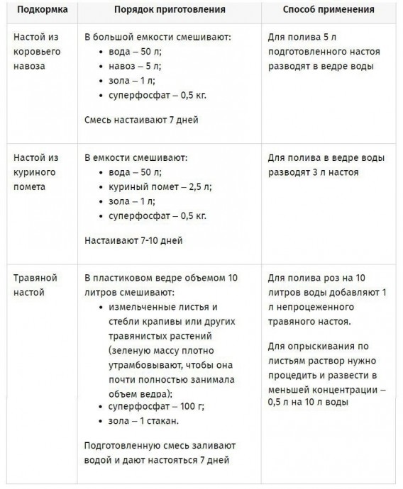 ​Весенняя подкормка роз – основная