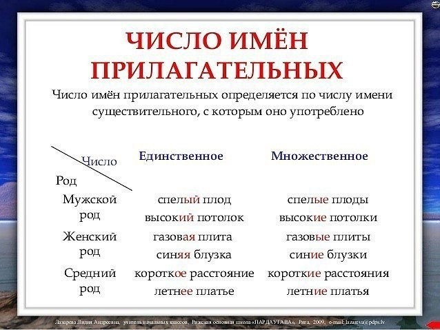 Правила русского языка для детей и взрослых
