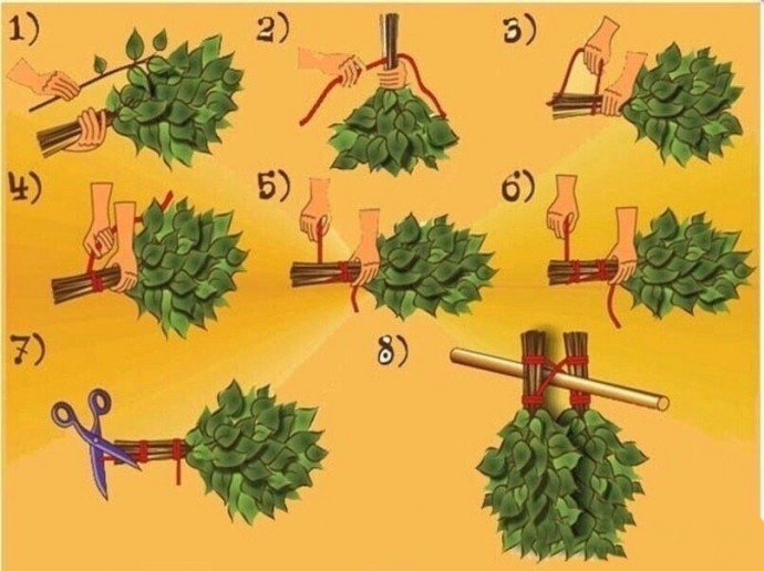 Как правильно заготовить веники для бани