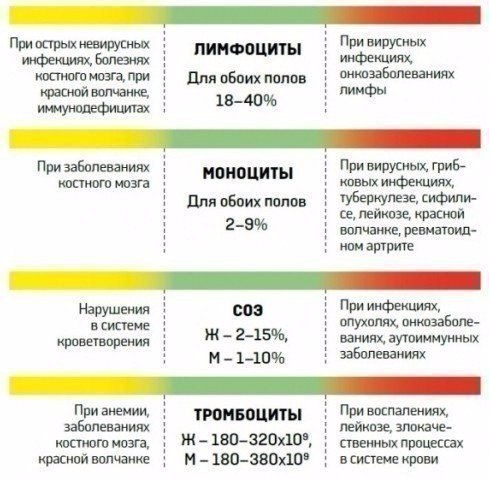 О чем расскажет анализ крови