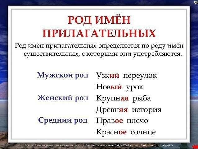 Правила русского языка для детей и взрослых