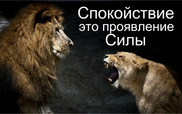 Секрет силы - спокойствие Секрет силы - спокойствие