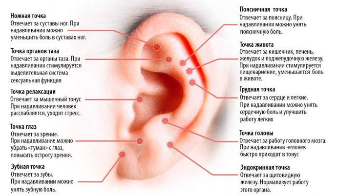 ​Целебный массаж ушей, который не займет много времени
