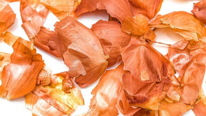 ​Луковая шелуха и мусорное ведро