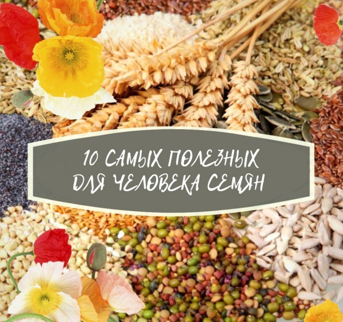 ​Самые полезные семена для человека