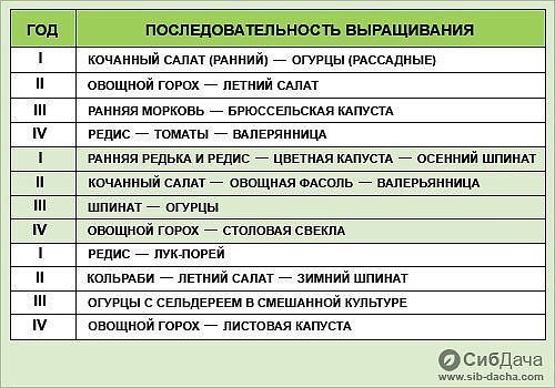 Чередуем овощи на грядках Чередуем овощи на грядках
