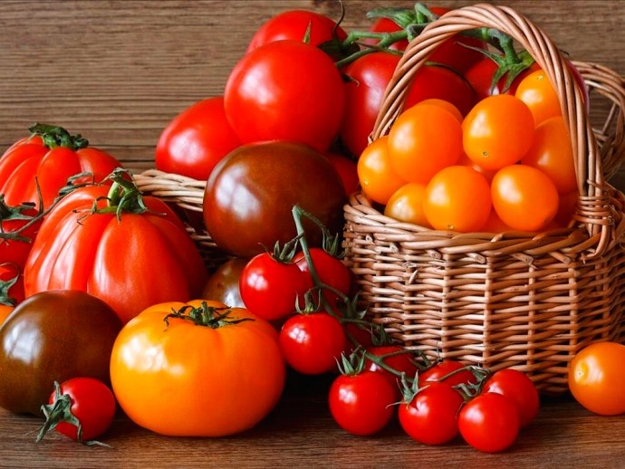 Зачем хранить помидоры при комнатной температуре Зачем хранить помидоры при комнатной температуре