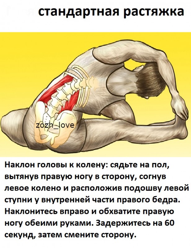 ​10-минутная растяжка для профилактики болей в спине