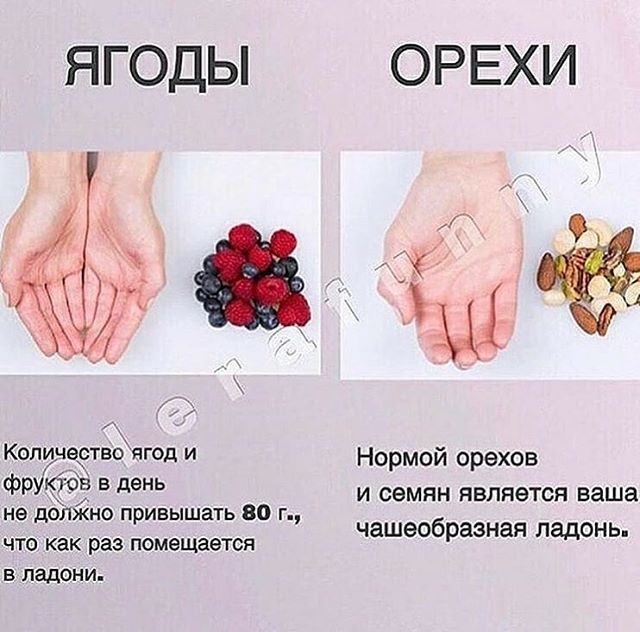 Нормы приема пищи Нормы приема пищи