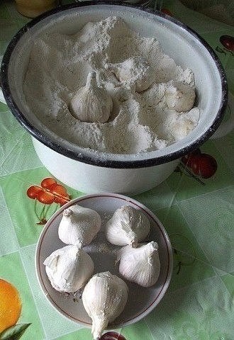 Хранение озимого чеснока до весны Хранение озимого чеснока до весны