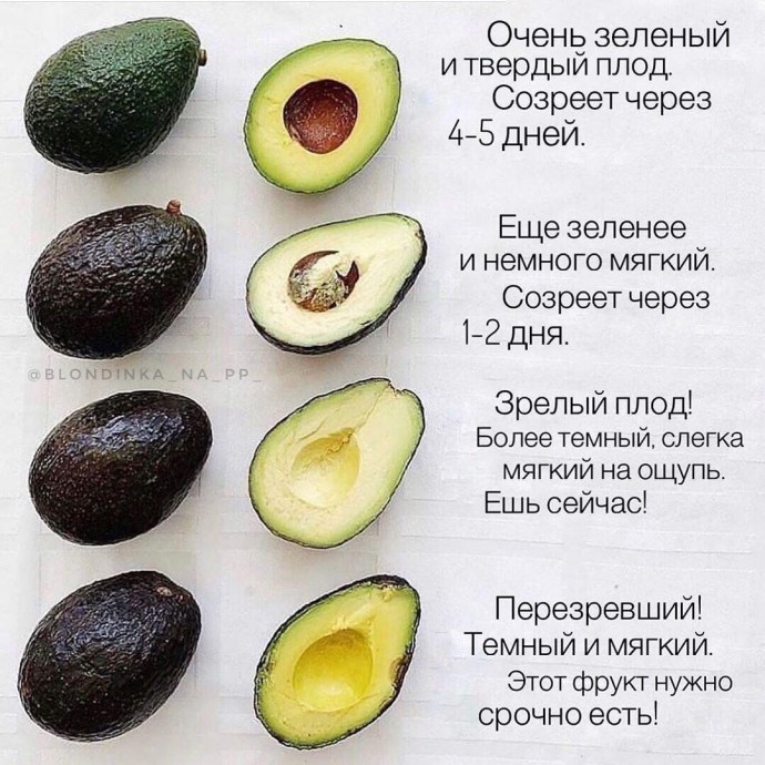 ​Как выбрать нужный авокадо