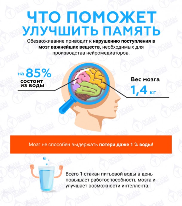 6 техник для улучшения памяти 6 техник для улучшения памяти