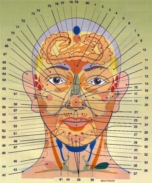 ​Диагностика здоровья по лицу и шее