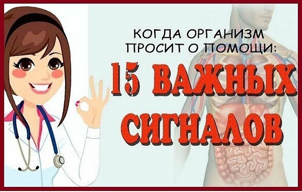 Когда организм просит о помощи: 15 важных сигналов Когда организм просит о помощи: 15 важных сигналов