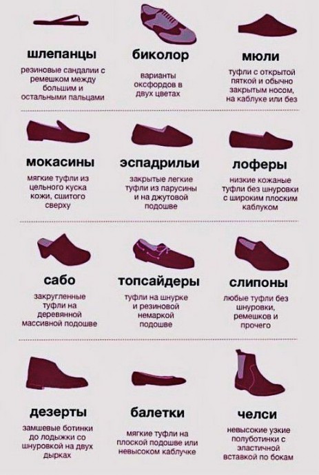 ​Учимся называть обувь правильно