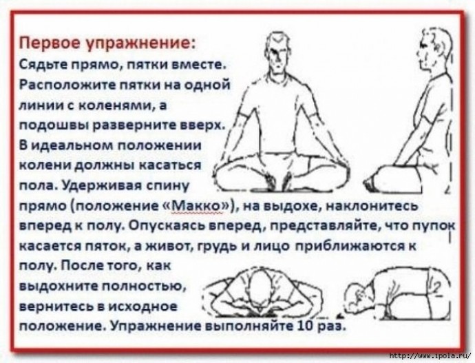 Секретная японская гимнастика Макко-хо для здоровья тела и молодости духа Секретная японская гимнастика Макко-хо для здоровья тела и молодости духа