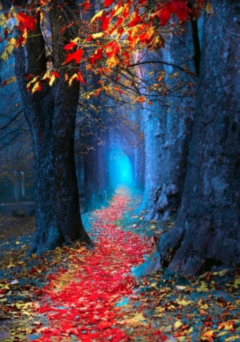 Как обмануть автоматику смартфона для волшебных снимков Как обмануть автоматику смартфона для волшебных снимков