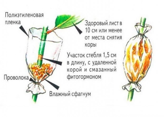 Воздушные отводки Воздушные отводки