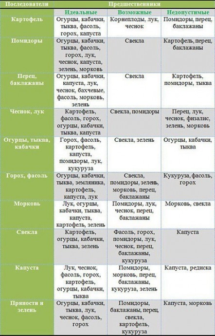 Чередуем овощи на грядках Чередуем овощи на грядках