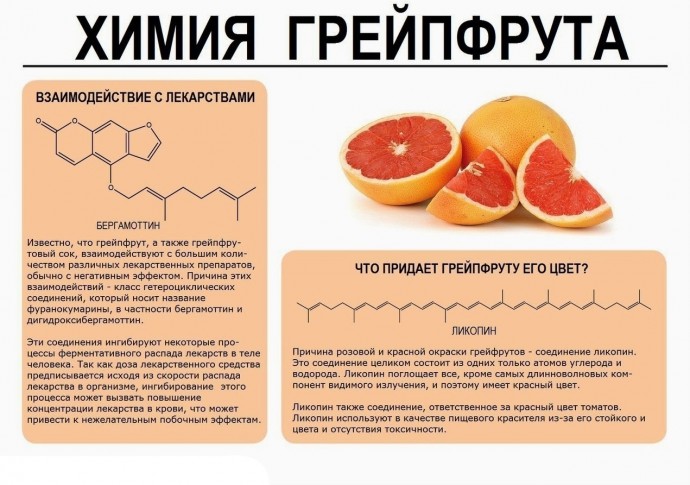 ​Как разобраться в химии обычных продуктов