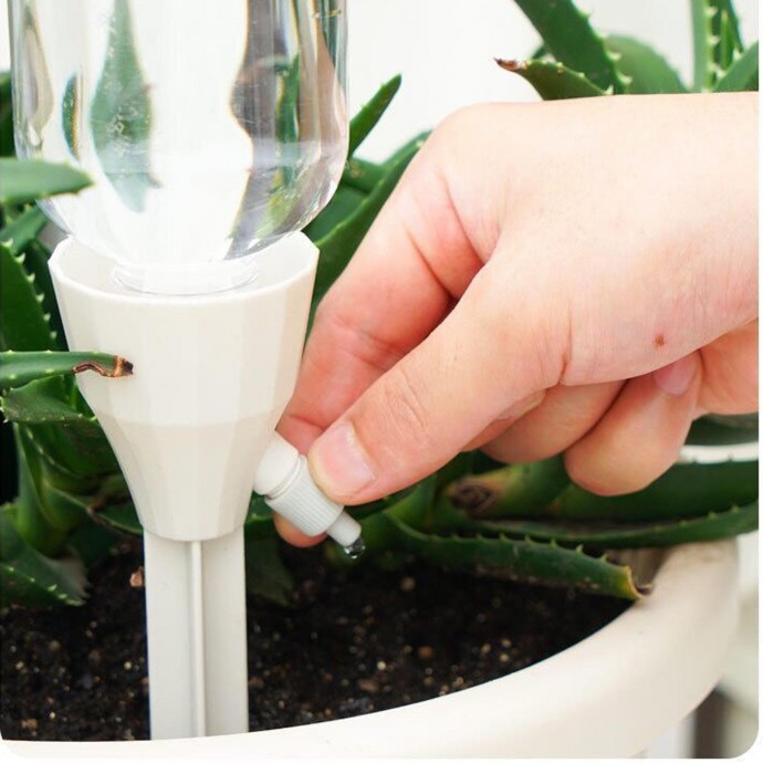 Ленивый полив, который работает Ленивый полив, который работает