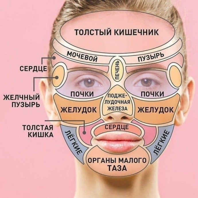 Прыщи как отражение состояния внутренних органов