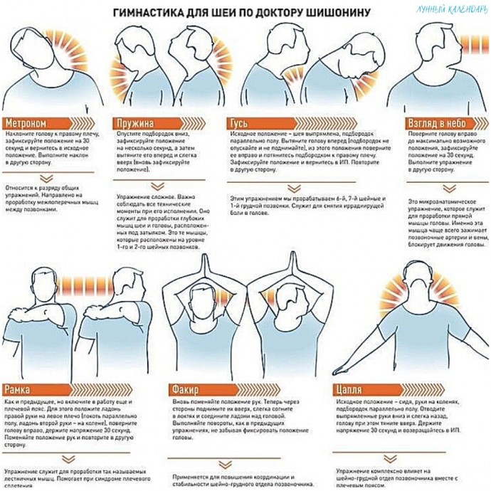 ​Гимнастика для шеи от доктора Шишонина