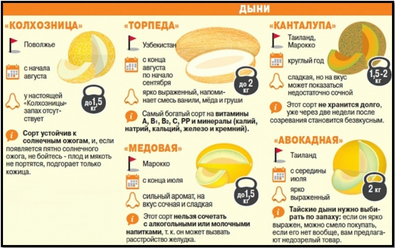 ​Выбираем лучшую дыню