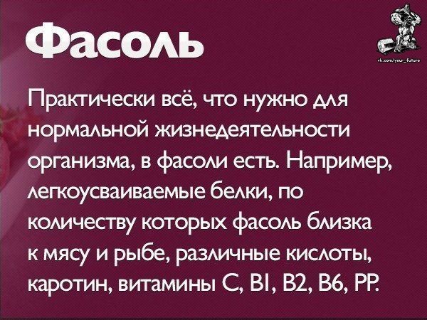 Чем полезны разные продукты