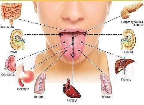 ​Как по языку определить, к какому врачу стоит обратиться