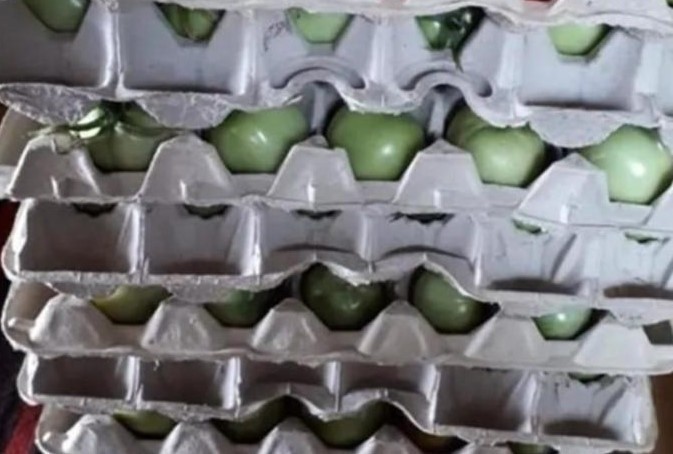 Как использовать яичные лотки для более длительного и бережного хранения овощей