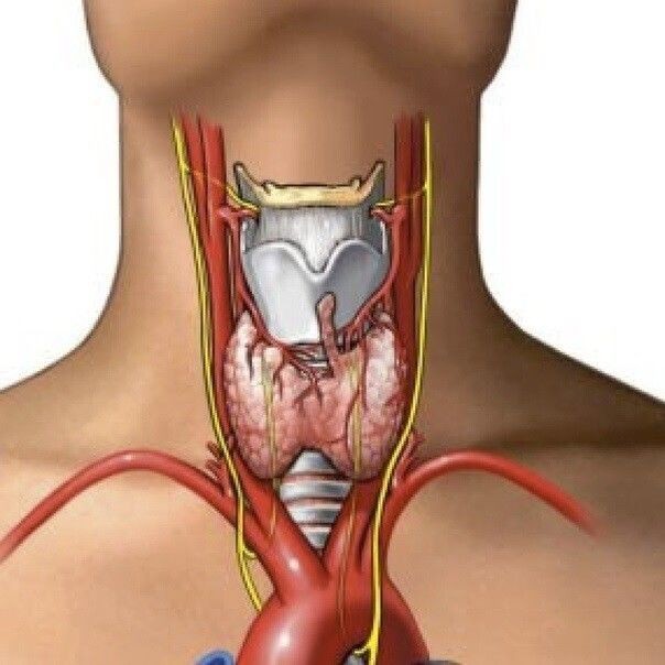 ​Специальная каша, бесконечно благотворно влияющая на щитовидную железy и весь пищеварительный тракт