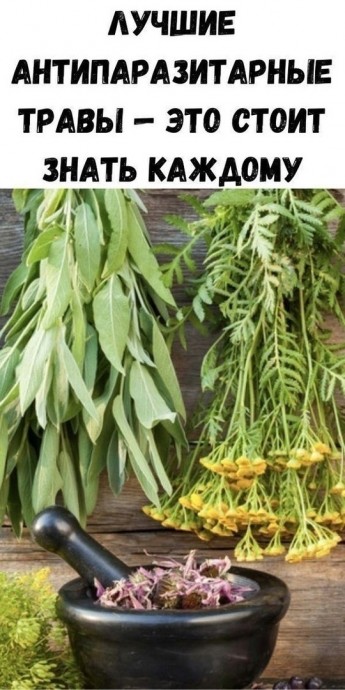 ​Противопаразитарные растения