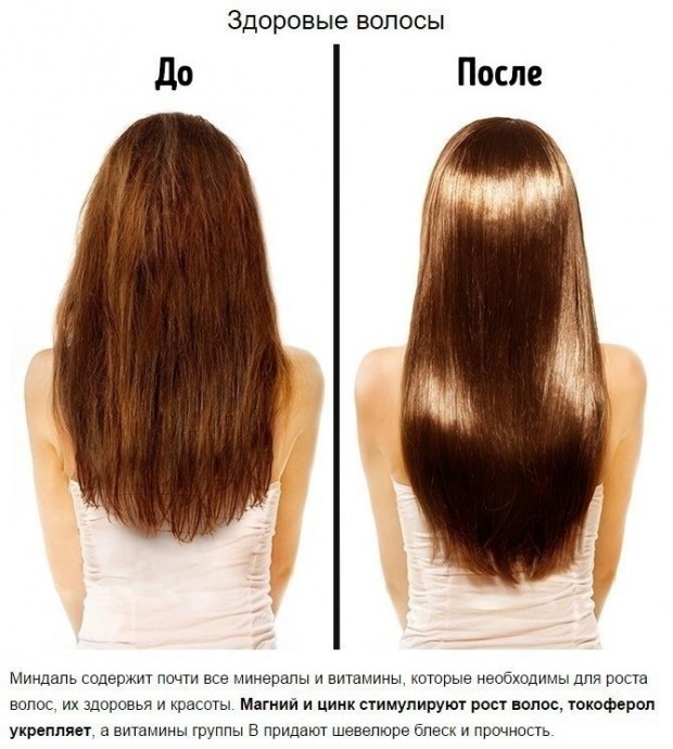 Что произойдет с телом, если съедать 4 миндальных ореха каждый день Что произойдет с телом, если съедать 4 миндальных ореха каждый день