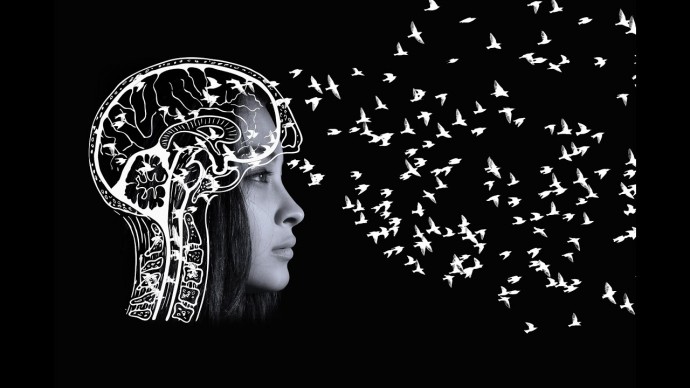 Научитесь грамотно выражать свои мысли Научитесь грамотно выражать свои мысли