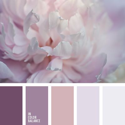 ​Как красиво сочетать благородные фиолетовые цвета