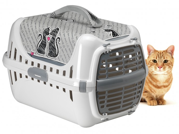 Перевозка кошки: как выбрать контейнер или клетку, как обеспечить комфорт