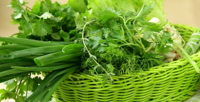 Как правильно сажать зелень Как правильно сажать зелень