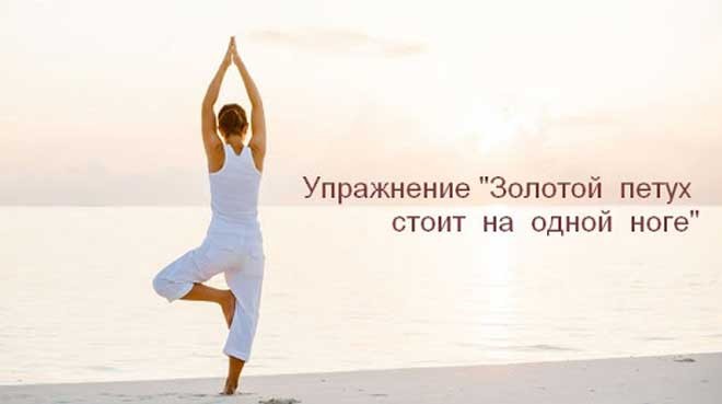 Упражнение "Золотой петух стоит на одной ноге" для восстановления баланса в организме Упражнение "Золотой петух стоит на одной ноге" для восстановления баланса в организме