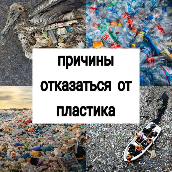 ​Причины отказаться от пластика